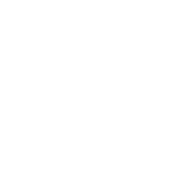 Opera GX